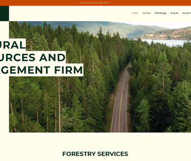 Tremaine & Associates  dixon and