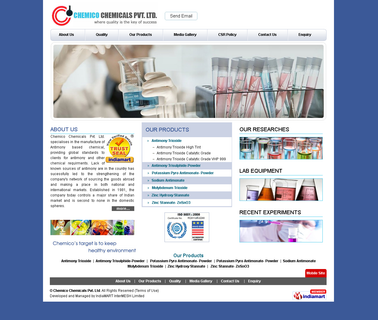Home Page flame guard