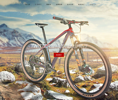 Shenzhen First Bicycle Technology Co tires