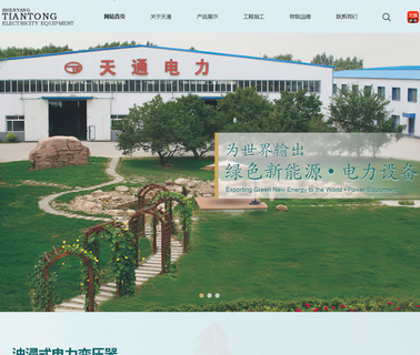 Shenyang Tiantong Electricity Equipment tap type
