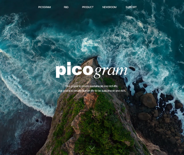 Picogram Co sink system