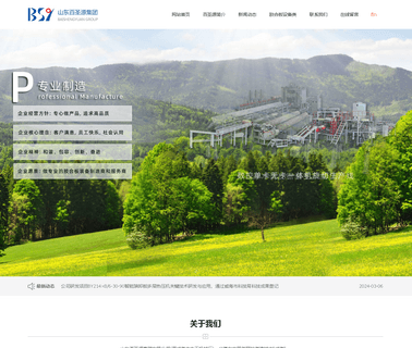 Shandong Baishengyuan Group,.Ltd. veneer machine