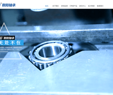 Shandong Chaoyang Bearing four point bearing