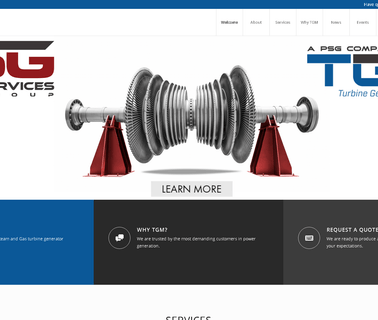 Turbine Generator Maintenance, Tgmr electrical steam generator