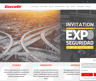 Gosafe car global
