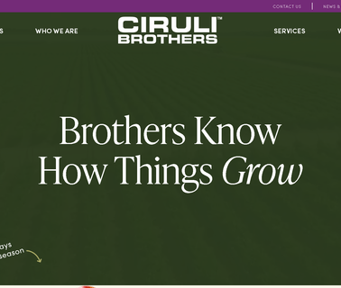 Ciruli Brothers three brothers