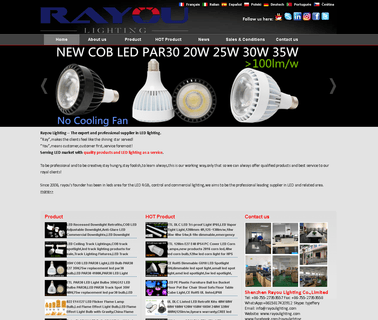 Shenzhen Rayou Lighting 12w led flood lighting