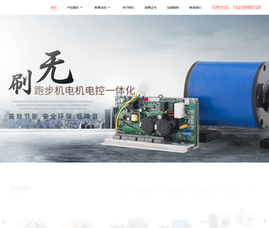 Yongkang Senchuan Electric Machinery trike recumbent