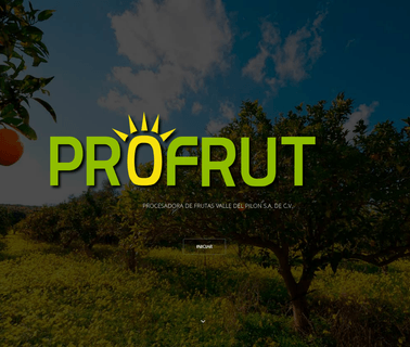 Profrut foods
