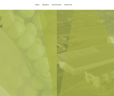 Southern Seeds Production Sa amaranth seeds