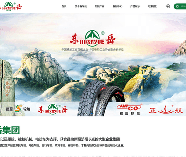 New Dongyue Group bicycle electronic