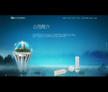Feida Electronic & Lighting electronic lighting ballasts