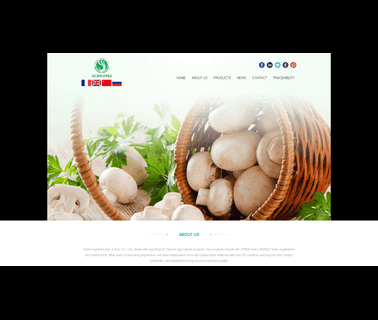 Hebei Agrilinks fruits berries