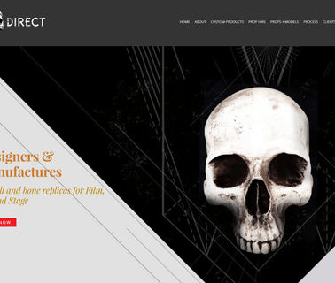 Skulls Direct - Skull Fil human skulls