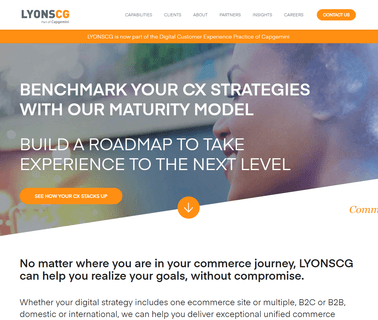 Lyonscg: Commerce Realized  ask website