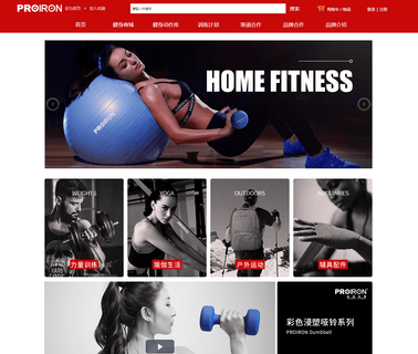 Shanxi Regent Fitness Inc. sporting goods exercise equipment