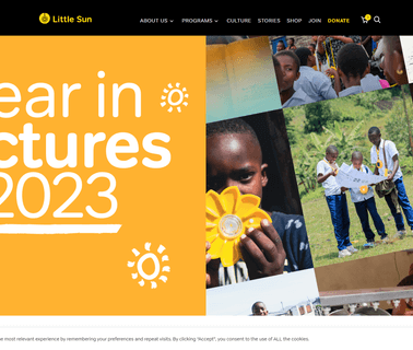 Littlesun Gmbh solar lamp charge controller