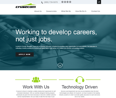 Crusecom Technology Consultants Llc website michigan