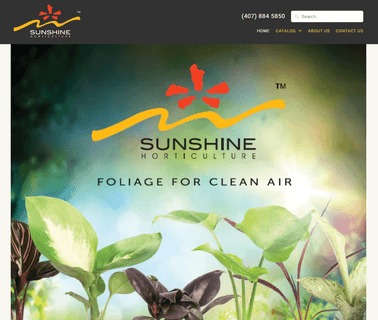 Sunshine Horticulture plants tissue culture