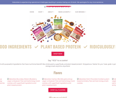 Deliciously Flavorful Energy Snacks With Clean cookies made