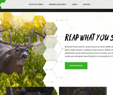 Home - Evolved | Home leader wildlife