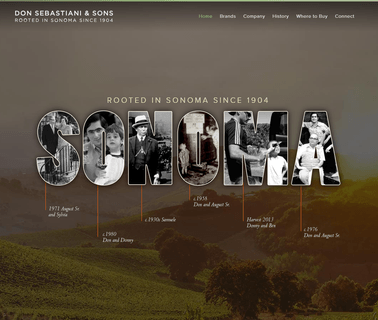 Don Sebastiani & Sons wines red