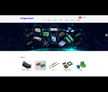 Shenzhen Leyconn Electronics socket plugs