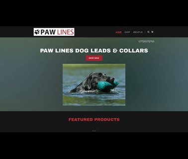 Dog Leads - Leather Alter low working