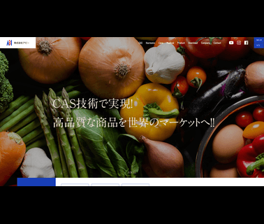 Abi - Home Page storage