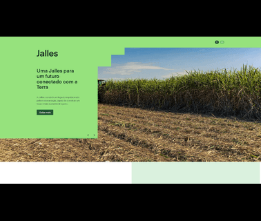 Jallesmachadocom iso site