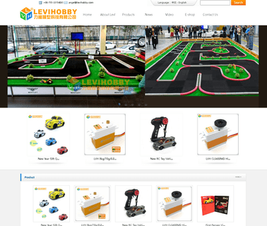 Shenzhen Levi Hobby Tech drift car