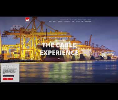 Aristoncavi Web Site medium current