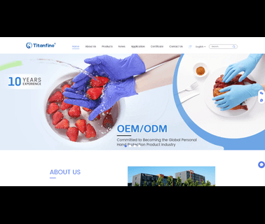Hebei Titans Medical Group black nitrile