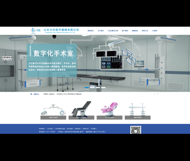 Shandong Lewin Medical Equipment surgical halogen