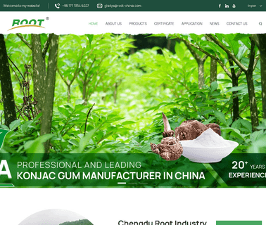 Root Food foods sichuan