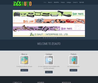 Zesauto Enterprise auto handle
