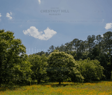Chestnut Hill Nursery,  ringent chestnut