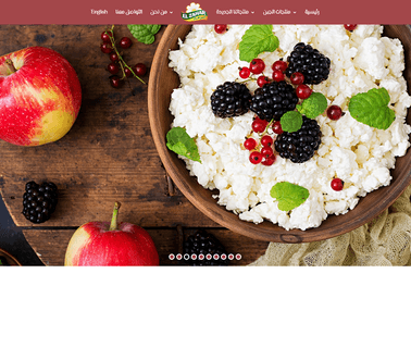 Dairy Land for Milk and Food Industries El Zahar cheese mozzarella