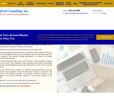 Diad Consulting - Business Turn Around Consultant management training skills