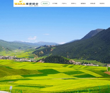 Henan Weikang Bee Industry propolis