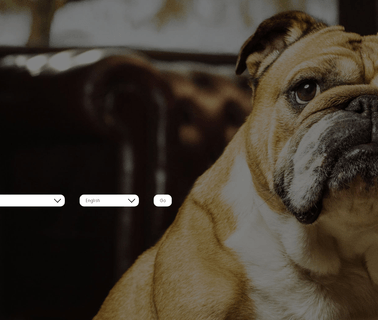 Bulldog Skincare For Men eye bath