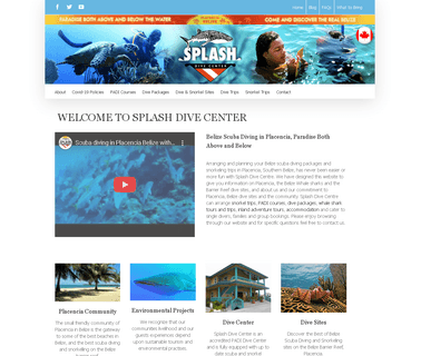 Splash Dive Center and fins