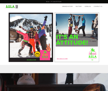 Bula face protection masks