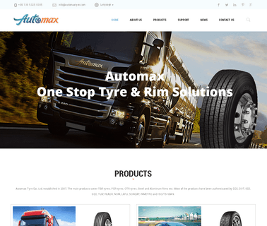 Automax Tyre and bus