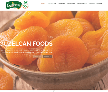 Guzel Can Gida foods trading