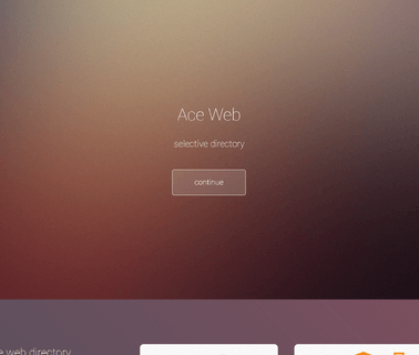 Ace Web sales accessories