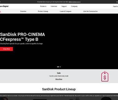 Sandisk consumer electronics