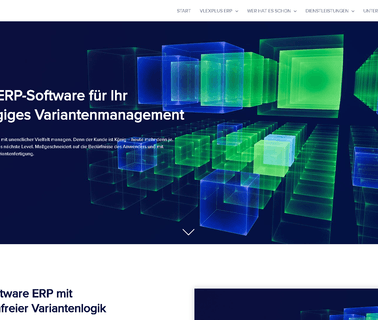 Vlexsoftware + Consulting erp