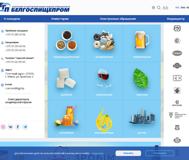 The National Exposition of Republic of Belarus chocolate chips