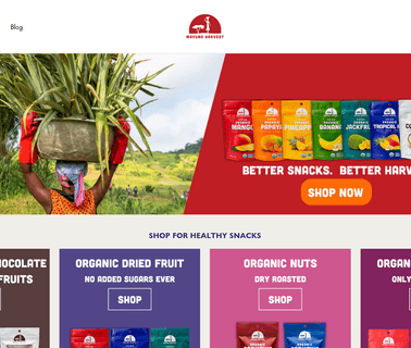 Mavuno Harvest: Profile fruit farms